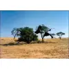 Dwars door Afrika