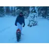Fins Lapland!