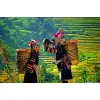 Myanmar