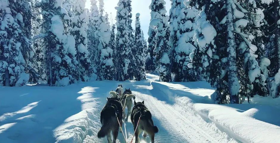 Fins Lapland, een winterwonderland dat je minstens één keer moet beleven.
