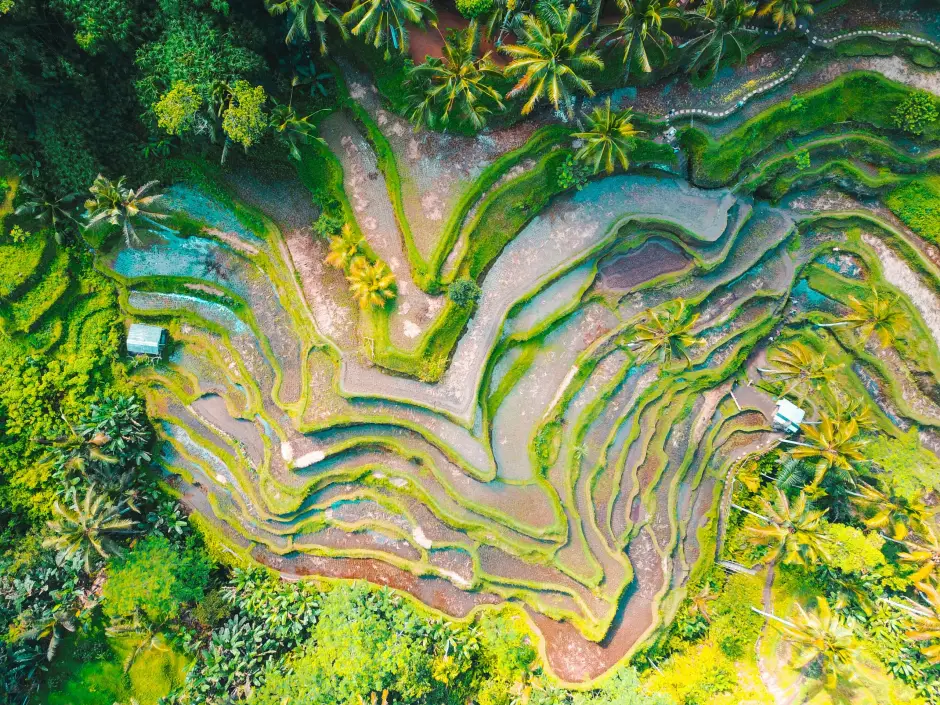 Van rijstvelden tot tropische eilanden, Indonesië op z'n mooist.