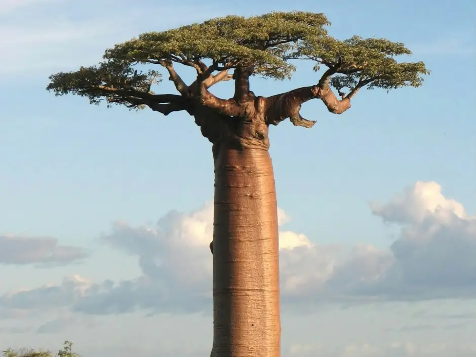 Zuid-Afrika is een ervaring die je niet meer los laat. 
