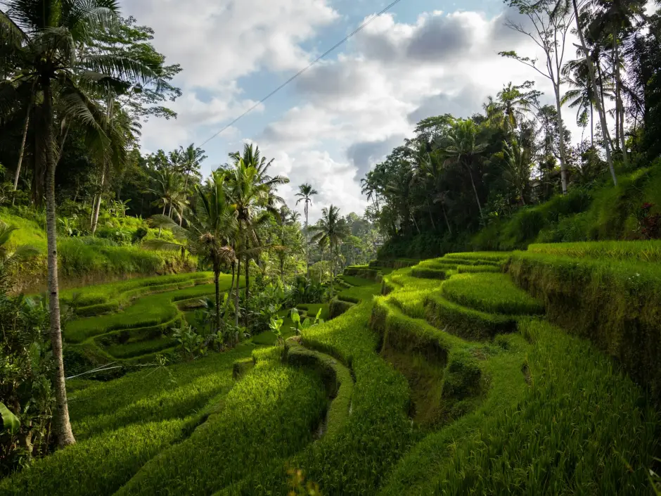 Van rijstvelden tot tropische eilanden, Indonesië op z'n mooist.