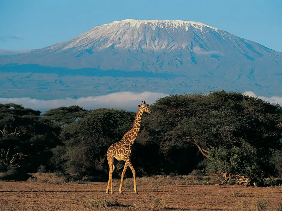 Zuid-Afrika is een ervaring die je niet meer los laat. 